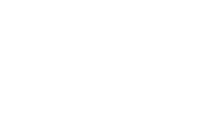 DFIN Logo White PNG (2)